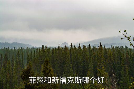 菲翔和新?？怂鼓膫€好