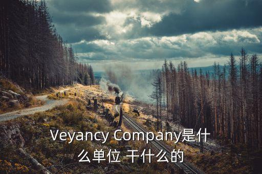 時(shí)代沃頓科技有限公司是什么單位，Veyancy Company是什么單位 干什么的