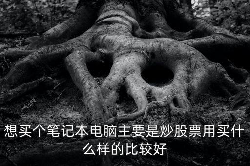 想買個筆記本電腦主要是炒股票用買什么樣的比較好