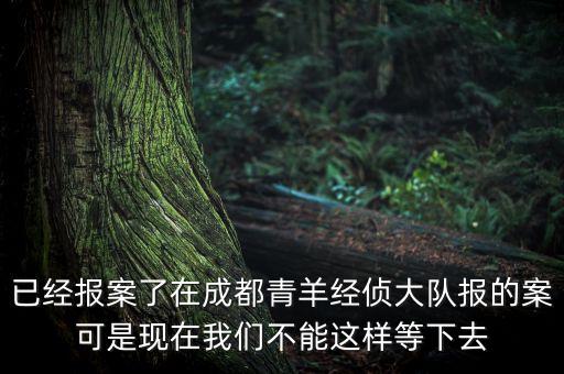 紅光實(shí)業(yè)案是什么，李晨石頭事件是什么