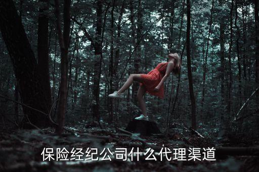 什么叫經(jīng)代渠道，保險經(jīng)紀(jì)渠道購買保險比代理人渠道購買有哪些好處