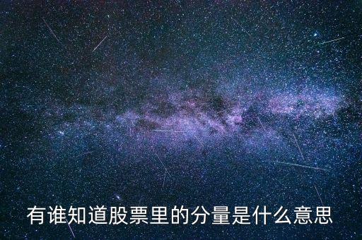 股票中的分時量是什么，有誰知道股票里的分量是什么意思