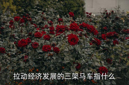 拉動經(jīng)濟(jì)發(fā)展的三架馬車指什么