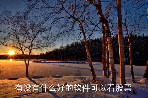 有沒有什么好的軟件可以看股票