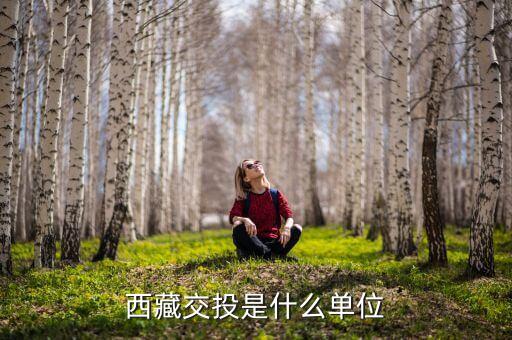 西藏成投是做什么的，西藏交投是什么單位