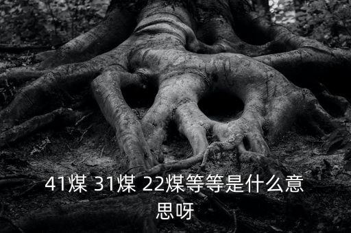 什么叫三二煤，2煤3煤什么意思