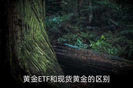 黃金ETF和現(xiàn)貨黃金的區(qū)別