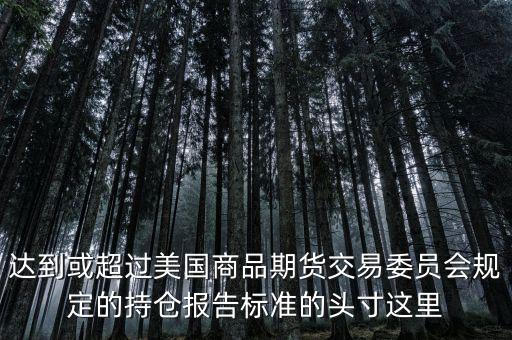 達(dá)到或超過(guò)美國(guó)商品期貨交易委員會(huì)規(guī)定的持倉(cāng)報(bào)告標(biāo)準(zhǔn)的頭寸這里