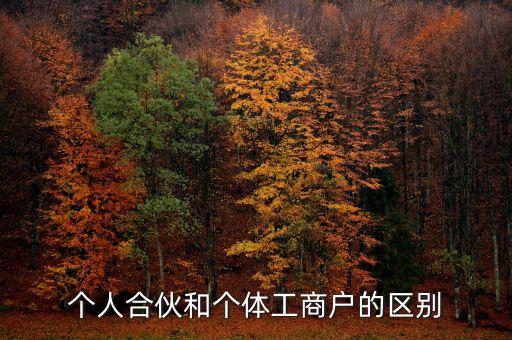 個(gè)人合伙領(lǐng)取什么經(jīng)營(yíng)執(zhí)照，個(gè)人合伙辦理個(gè)體工商戶執(zhí)照
