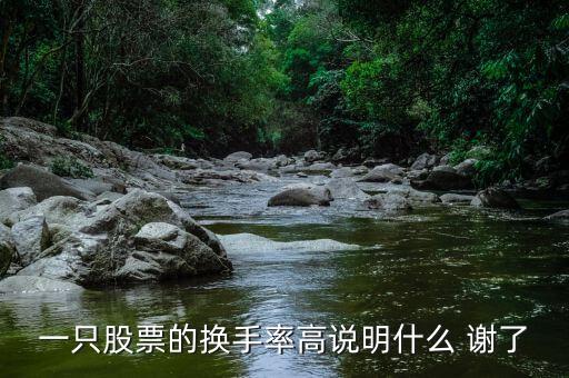 一只股票的換手率高說明什么 謝了