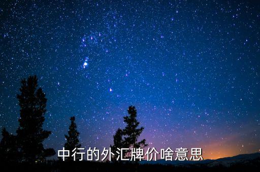 外匯牌價什么意思，中行的外匯牌價啥意思