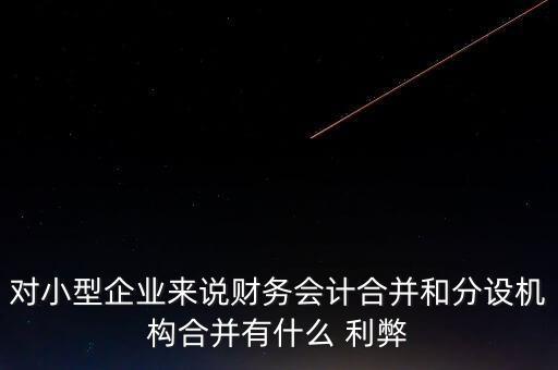 對(duì)小型企業(yè)來(lái)說財(cái)務(wù)會(huì)計(jì)合并和分設(shè)機(jī)構(gòu)合并有什么 利弊