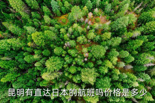 昆明有直達(dá)日本的航班嗎價(jià)格是多少