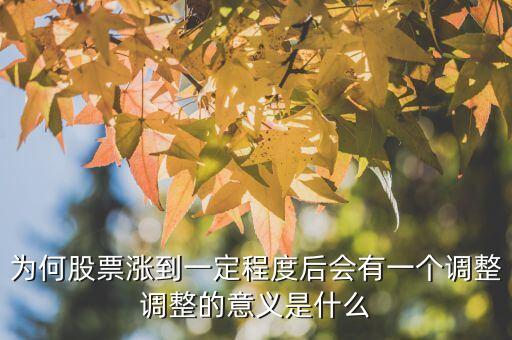 為何股票漲到一定程度后會有一個調(diào)整調(diào)整的意義是什么