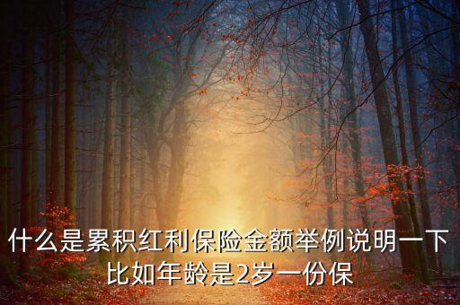 什么是累積紅利保險(xiǎn)金額舉例說(shuō)明一下比如年齡是2歲一份保