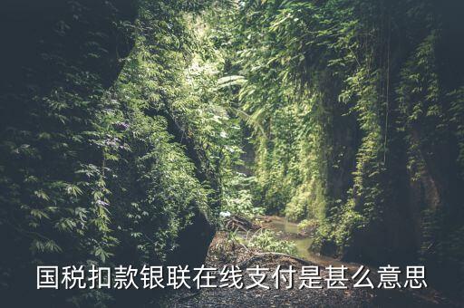 銀聯(lián)劃扣跟連連支付有什么區(qū)別，國稅扣款銀聯(lián)在線支付是甚么意思