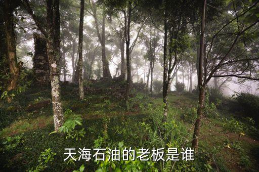 天海收購英邁什么時間，信用卡能不能申請延遲2天海款