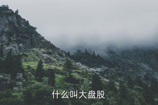大盤股是什么意思，什么是大盤股