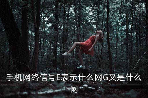 值投網(wǎng)是什么網(wǎng)，手機網(wǎng)絡信號E表示什么網(wǎng)G又是什么網(wǎng)