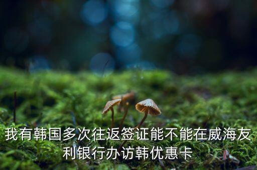 訪韓優(yōu)惠卡有什么作用，我有韓國(guó)多次往返簽證能不能在威海友利銀行辦訪韓優(yōu)惠卡