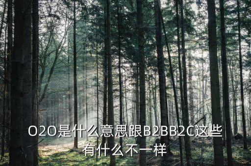美菜網o2o是什么，O2O是什么意思跟B2BB2C這些有什么不一樣
