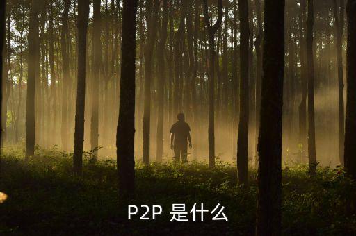 p2p項目是什么，什么是p2p