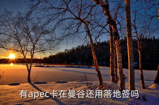apec為什么有俄羅斯，亞太經(jīng)合組織怎么樣為什么中國(guó)1991年才加入怕俄羅斯聯(lián)邦嗎