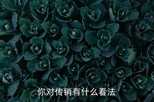 你對傳銷有什么看法