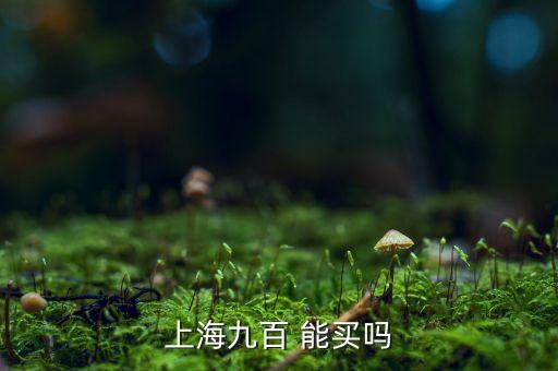 上海九百是做什么的，上海九百怎么樣