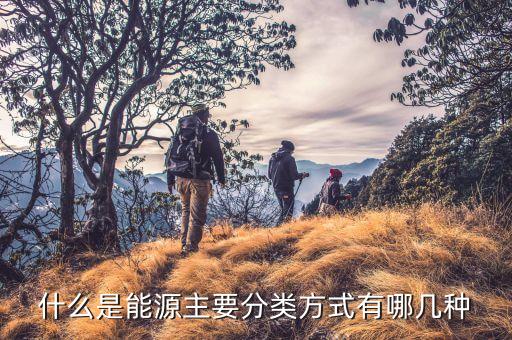 能源開發(fā)保險(xiǎn)的種類包括什么，電力行業(yè)目前有哪些專門的保險(xiǎn)產(chǎn)品