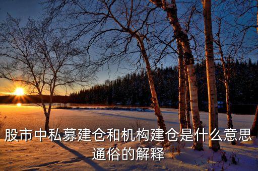 什么是中國(guó)kkr，KKRTrade交易所真的假的能不能提現(xiàn)