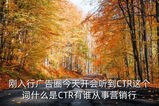 剛入行廣告圈今天開會聽到CTR這個詞什么是CTR有誰從事營銷行