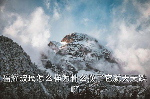 福耀玻璃為什么不漲，今天福耀玻璃跌的慘啊為什么跌這么多呢