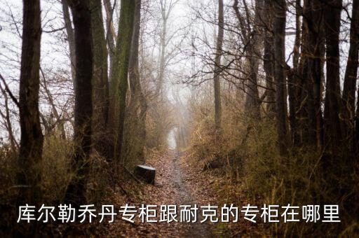 庫爾勒匯嘉有什么品牌，庫爾勒的匯嘉有沒有ZA化妝品專柜