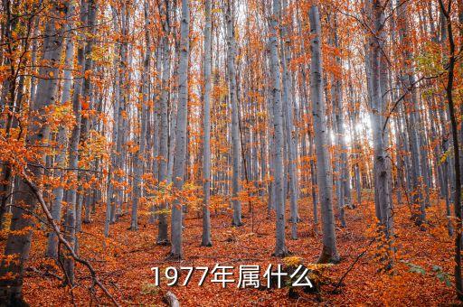 1977年屬什么