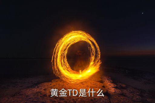 黃金etf是什么，黃金TD是什么