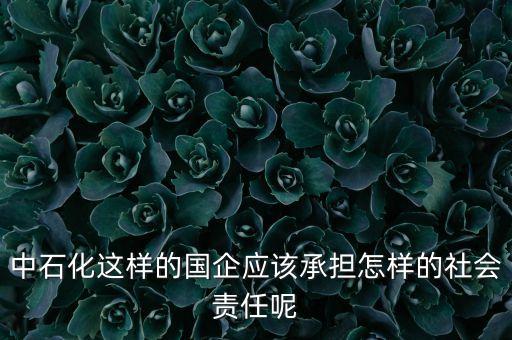 國企社會責(zé)任是什么，中石化這樣的國企應(yīng)該承擔(dān)怎樣的社會責(zé)任呢