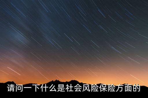 請(qǐng)問(wèn)一下什么是社會(huì)風(fēng)險(xiǎn)保險(xiǎn)方面的