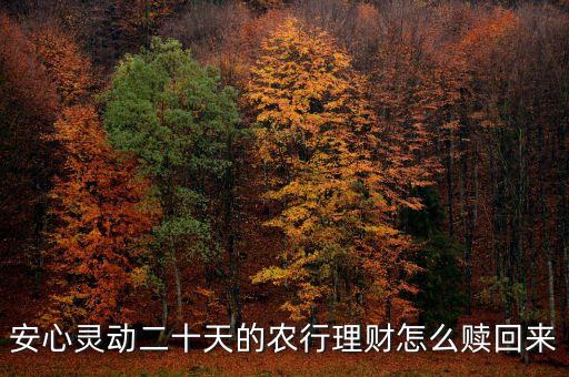 安心靈動(dòng)20天什么時(shí)候可以贖回，安心靈動(dòng)二十天的農(nóng)行理財(cái)怎么贖回來