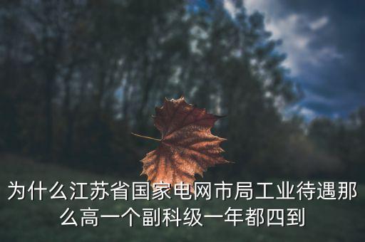 電力住房公積金為什么高，國家電網(wǎng)正式工公積金800元高嗎