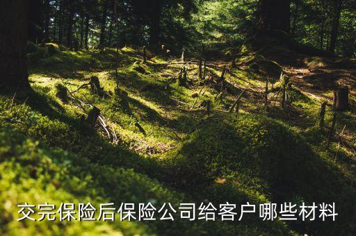 交完車險(xiǎn)都給什么東西，交完保險(xiǎn)后保險(xiǎn)公司給客戶哪些材料