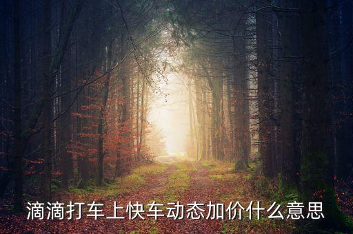 快車早上為什么要加價，滴滴打車上快車動態(tài)加價什么意思