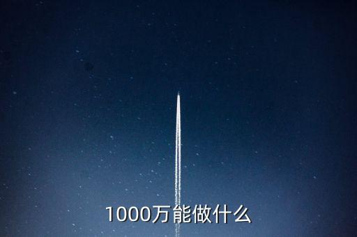 投資1000萬能做什么，1000W能做什么
