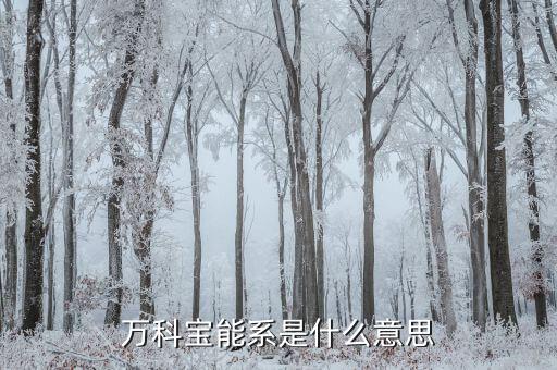 萬科寶能系是什么，寶能系與萬科什么關(guān)系