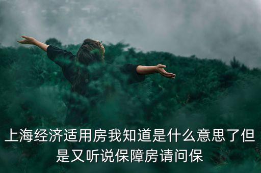 上海經濟適用房我知道是什么意思了但是又聽說保障房請問保