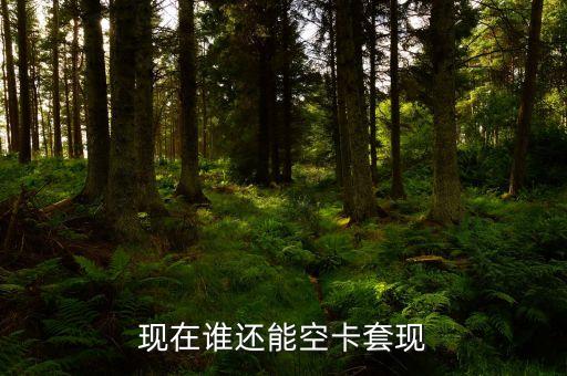 什么地方可以空卡套現(xiàn)，誰知道煙臺(tái)地區(qū)有辦理空卡套現(xiàn)的么