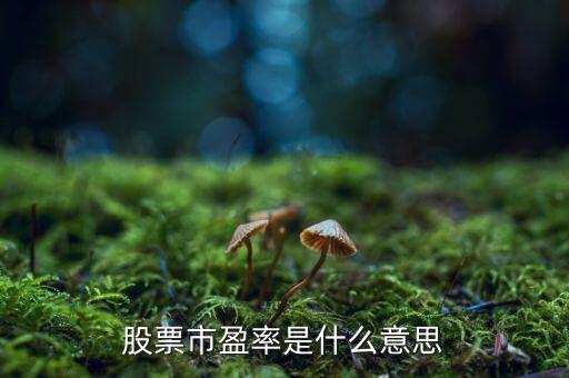 股票中的市盈率是什么意思，什么是股票市盈率