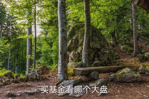 基金看什么大盤走勢(shì)，買基金看哪個(gè)大盤