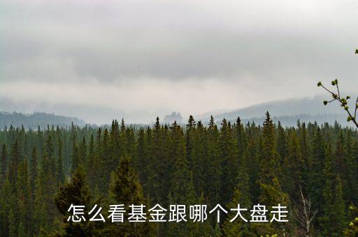怎么看基金跟哪個(gè)大盤(pán)走