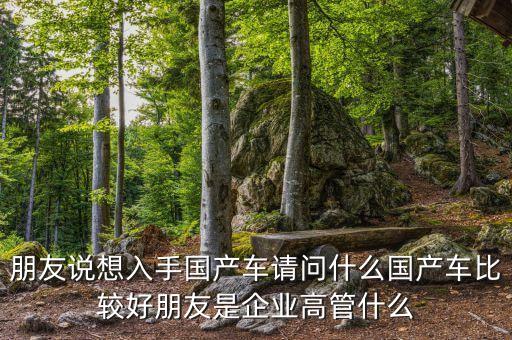 朋友說想入手國(guó)產(chǎn)車請(qǐng)問什么國(guó)產(chǎn)車比較好朋友是企業(yè)高管什么
